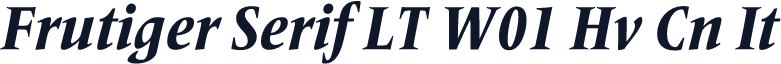 Frutiger Serif LT W01 Hv Cn It