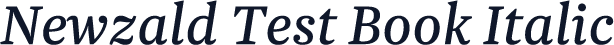 Newzald Test Book Italic
