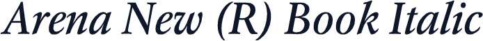 Arena New (R) Book Italic