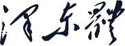 泽东体