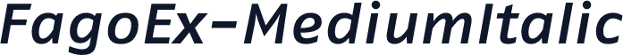 FagoEx-MediumItalic