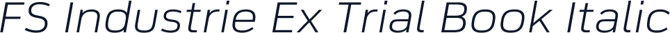 FS Industrie Ex Trial Book Italic