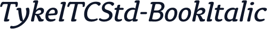 TykeITCStd-BookItalic