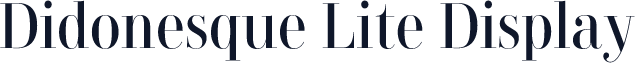Didonesque Lite Display
