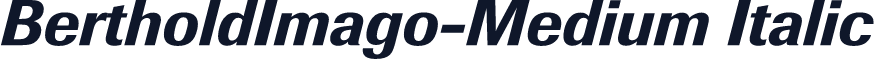 BertholdImago-Medium Italic