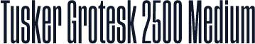 Tusker Grotesk 2500 Medium