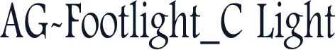 AG-Footlight_C Light