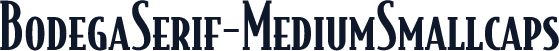 BodegaSerif-MediumSmallcaps