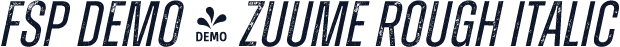FSP DEMO - Zuume Rough Italic