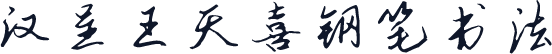 汉呈王天喜钢笔书法