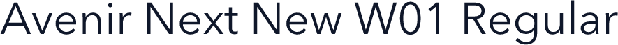 Avenir Next New W01 Regular