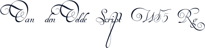 Van den Velde Script W05 Rg