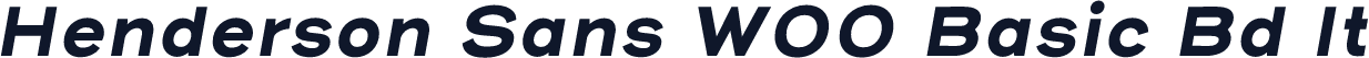 Henderson Sans W00 Basic Bd It