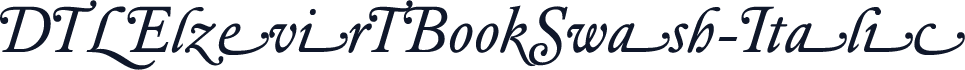 DTLElzevirTBookSwash-Italic