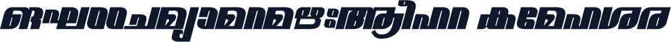 ML-TTNarmadaExBold Italic
