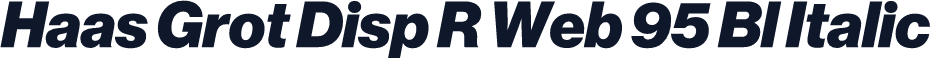 Haas Grot Disp R Web 95 Bl Italic