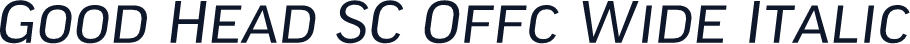 Good Head SC Offc Wide Italic