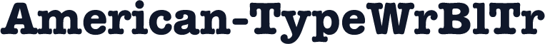American-TypeWrBlTr