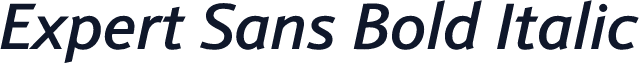 Expert Sans Bold Italic