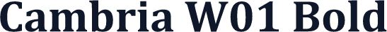 Cambria W01 Bold