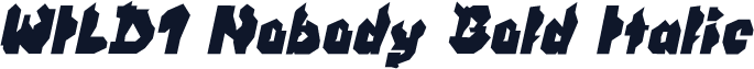 WILD1 Nobody Bold Italic