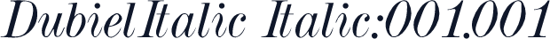 DubielItalic Italic:001.001