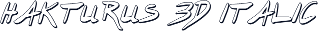Hakturus 3D Italic