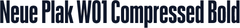 Neue Plak W01 Compressed Bold