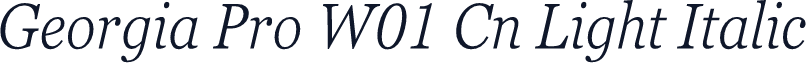 Georgia Pro W01 Cn Light Italic