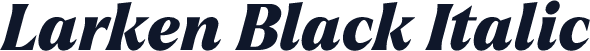 Larken Black Italic