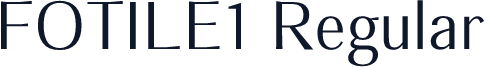 FOTILE1 Regular