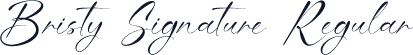 Bristy Signature Regular