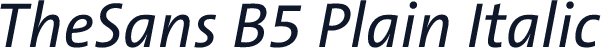 TheSans B5 Plain Italic