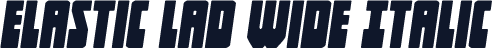 Elastic Lad Wide Italic