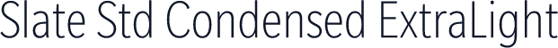 Slate Std Condensed ExtraLight
