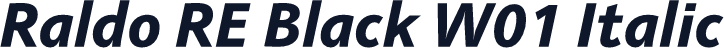 Raldo RE Black W01 Italic