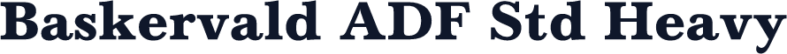 Baskervald ADF Std Heavy