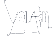 YolAsm