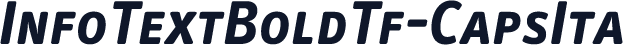 InfoTextBoldTf-CapsIta