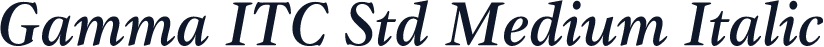 Gamma ITC Std Medium Italic
