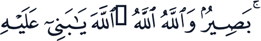 QCF_P120