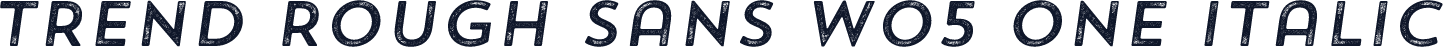Trend Rough Sans W05 One Italic