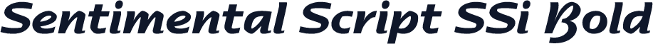 Sentimental Script SSi Bold