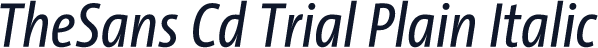 TheSans Cd Trial Plain Italic