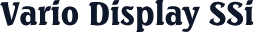 Vario Display SSi