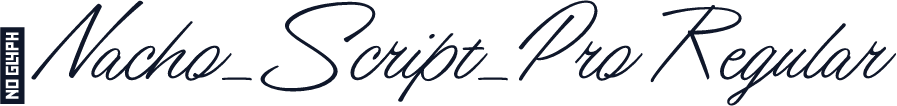 ☞Nacho_Script_Pro Regular