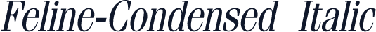 Feline-Condensed Italic