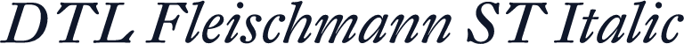 DTL Fleischmann ST Italic