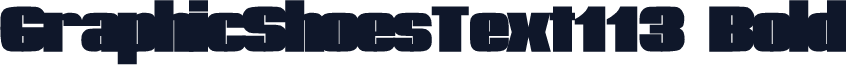 GraphicShoesText113 Bold