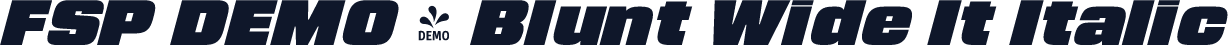 FSP DEMO - Blunt Wide It Italic